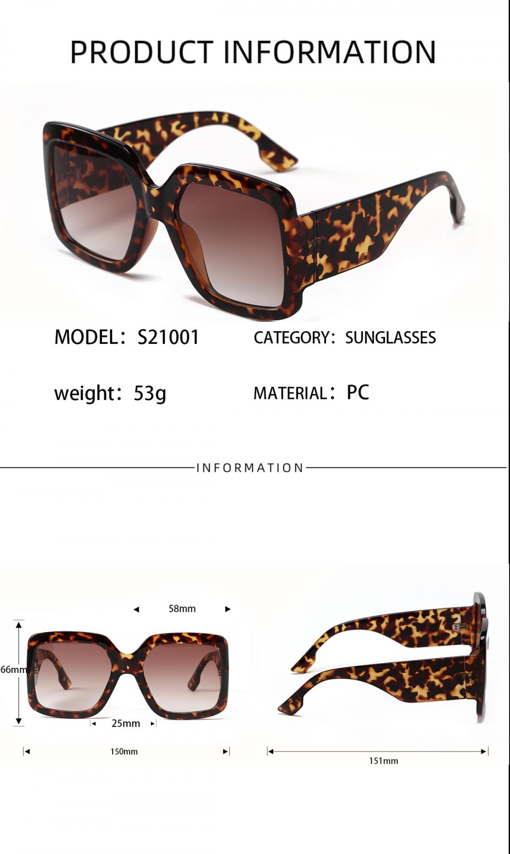 S21001 Sunglasses Detail Size