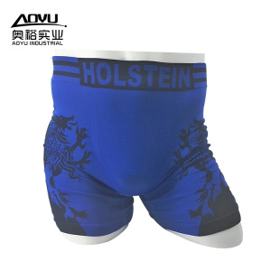 China Manufacturer for Plus Size Underwear Customized Cotton Seamless Mens Plus Size Underwear export to France Manufacturer