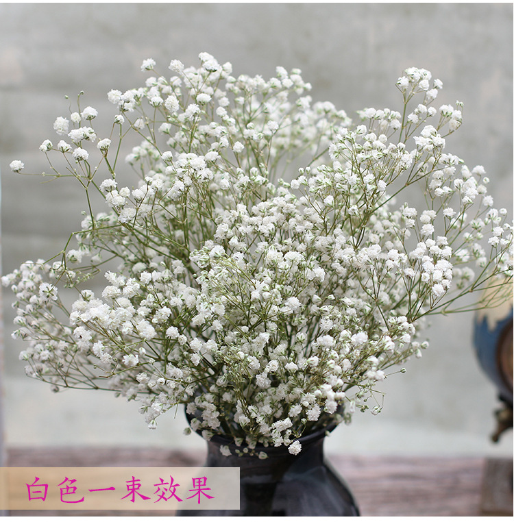 Natural Fresh Dried Preserved Flowers Gypsophila paniculata,Baby's Breath Flower bouquets gift for Wedding Decoration,Home Decor