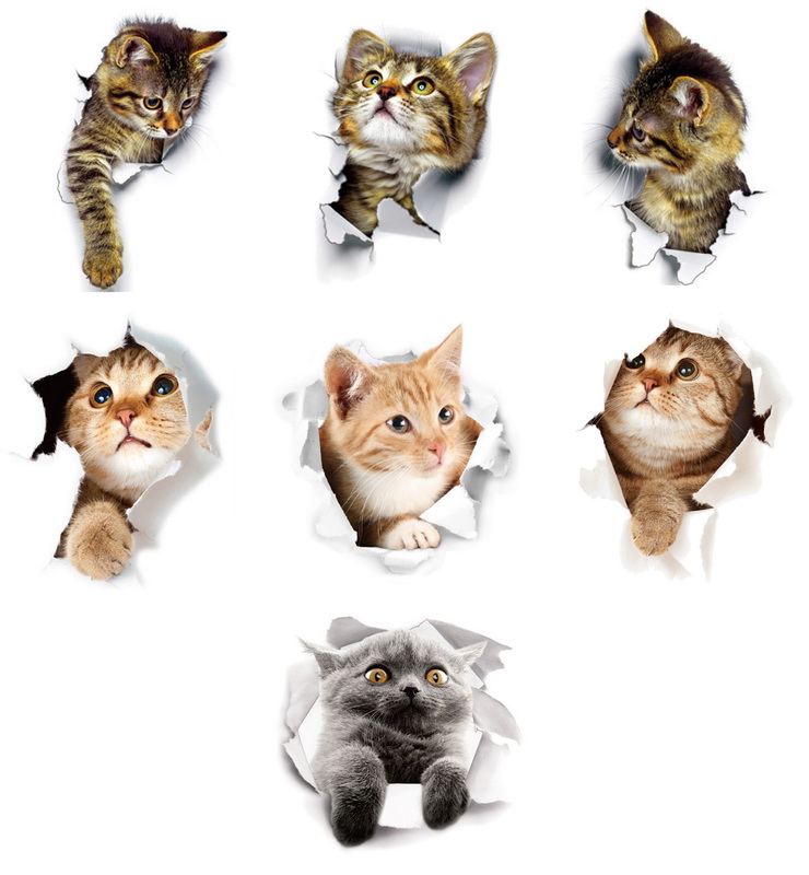 1Pcs 3D Cute DIY Cat Decals Adhesive Family Wall Stickers Window Room Decorations Bathroom Toilet Seat Decor Kitchen Accessories