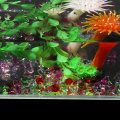50Pcs/bag Colorful 1.4*1.1cm Aquarium Acrylic Stones Crystal Ice Cubes Decor Vase Filler Pebble Fish Tank Home Ornament