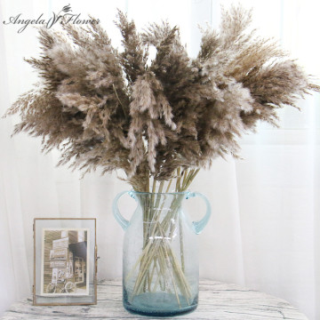 Natural Dried Pampas Grass Reed Plants Home Decor Wedding Flower Bouquet Bunch Materials Feather Dried Flower Natural Phragmites