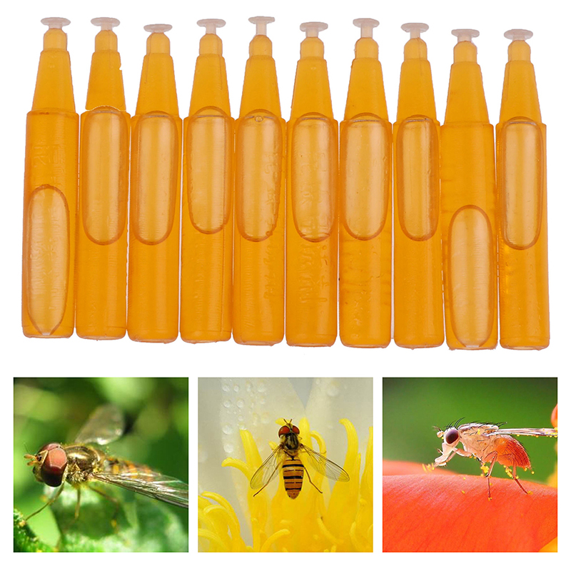 10Pcs/Bag Fruit Fly Attractant 2ml Trap Bait Beekeeping Beehive Tool Killer Swarm