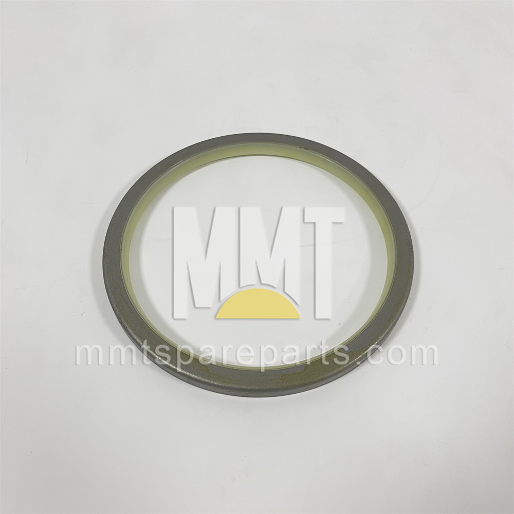 Steel Faced Rubber Dust Lip Type Sea 9x-4599