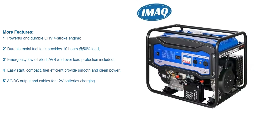 5kw Low Fuel Consumption generator set