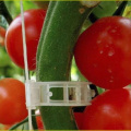 50pcs/lot Plant Vine Tomato Stem Clips Supports Connect to Plants Vines Trellis Twine Cages Best Quality