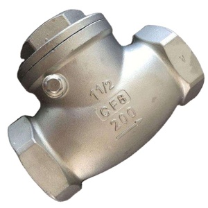 316 threaded check valve