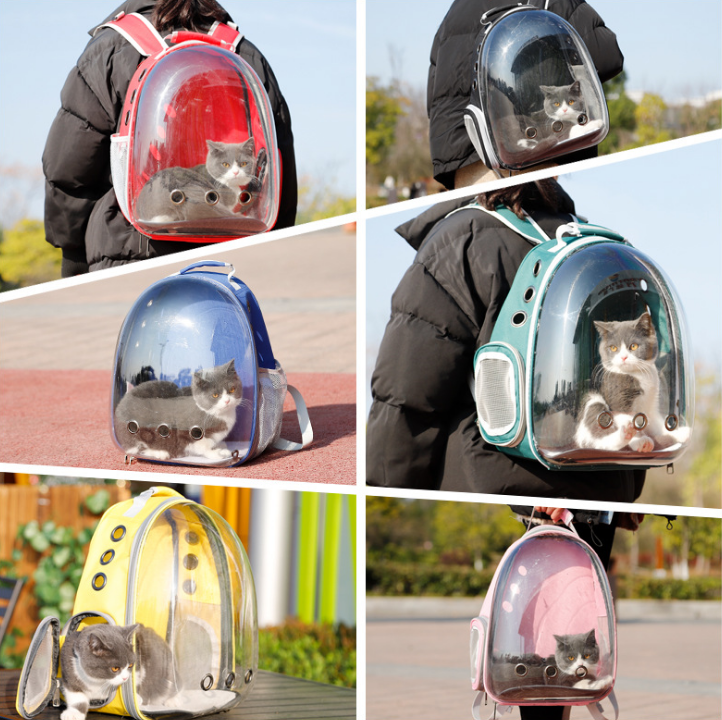 Cat Bag