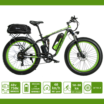 Cyrusher Electric Bicycle Double Suspension Fat Tire ebike for Men Snow/Mountain Bike 48V 750W XF800 WaterProof Bag and Shelf
