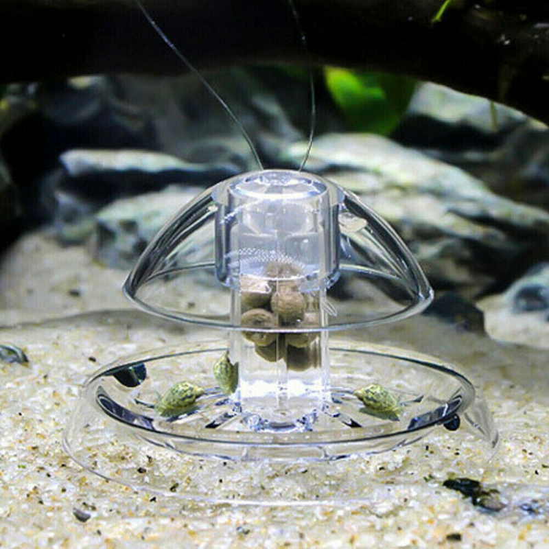 Snail Trap Catcher Aquarium Fish Plant Tank Plastic Clear Pest Catch Box Leech Environment Plants Cleaner Tools