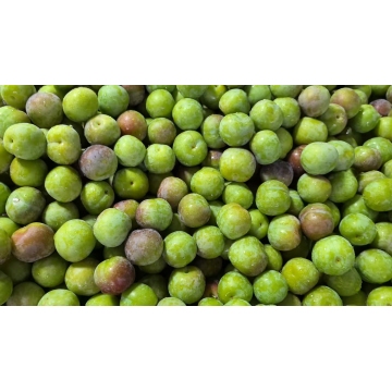 XG Ludian Honey Sugar Plums Delightful Treat