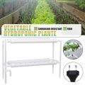 220V Hydroponics Grow equipment Planting Water Culture System vegetables Piping Rack Indoor Garden Nursery Pot