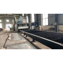 12000W Single-table DFSHT12025 Liner Track Laser cutting machine