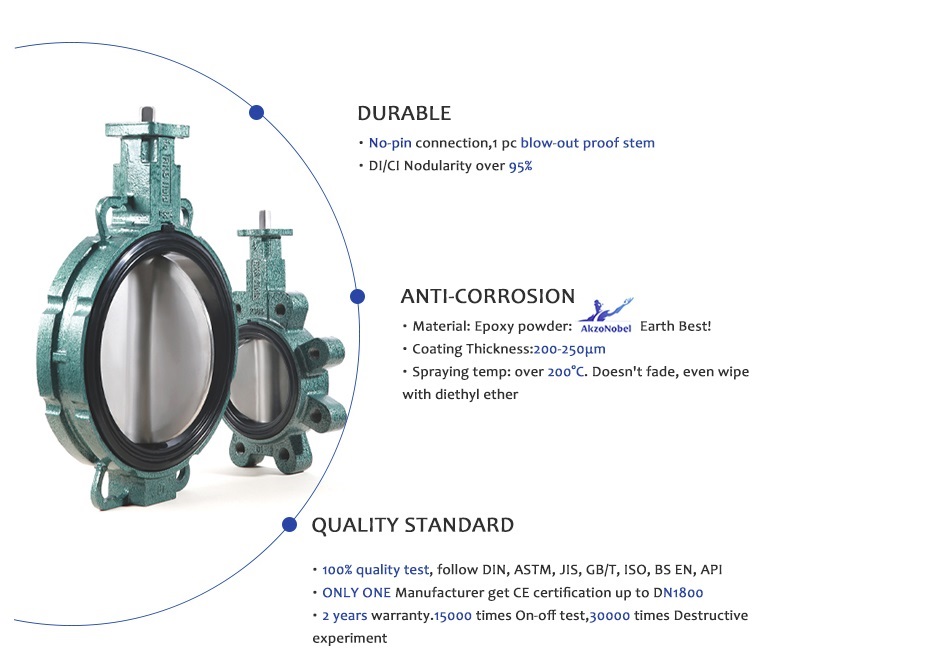 Soft Seal Lug Type Manual Butterfly Valve