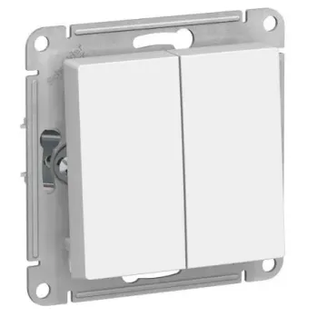 White 10A 2 Gang Electric Switch for Light