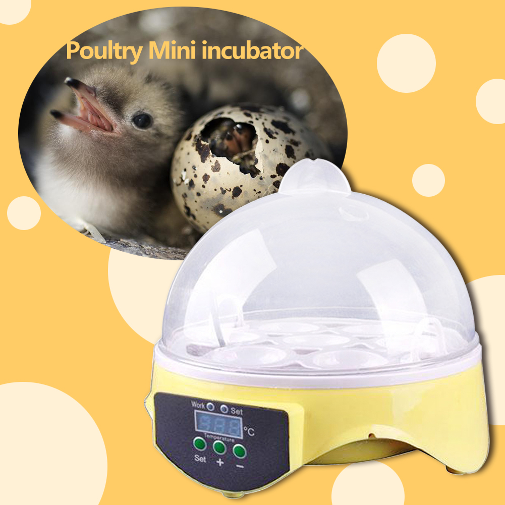 Mini 7 Egg Incubator Poultry Incubator Brooder Digital Temperature Hatchery Egg Incubator Hatcher Chicken Duck Bird Pigeon