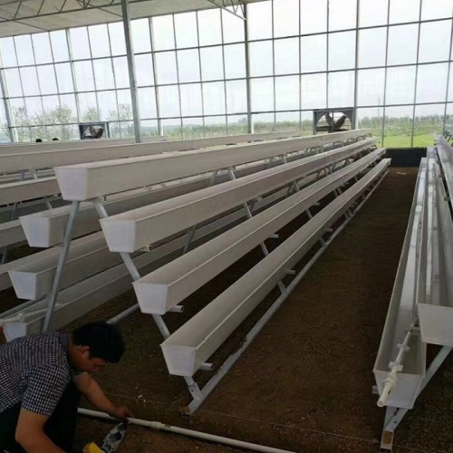 Large Size Hydroponic Growing System NTF Gully Manufacturers and Large Size Hydroponic Growing System NTF Gully Suppliers