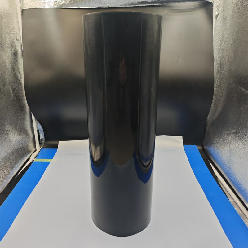 PP021904