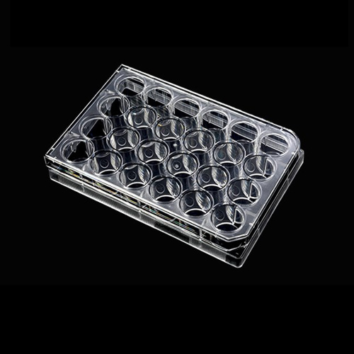 Best 24-well Flat Bottom Cell Culture Plate Manufacturer 24-well Flat Bottom Cell Culture Plate from China