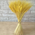 100pcs yellow color