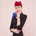 Uniform Flight Attendant Business Dress Work Wear Beautician Uniforms Dresses Airline Stewardess Flight Attendant Uniform DD1788