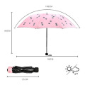 Creative Pocket Umbrella Woman Kid Kitten Parasol Waterproof Sunscreen Woman Sunny Rainy Windproof Umbrellas Girls Gifts