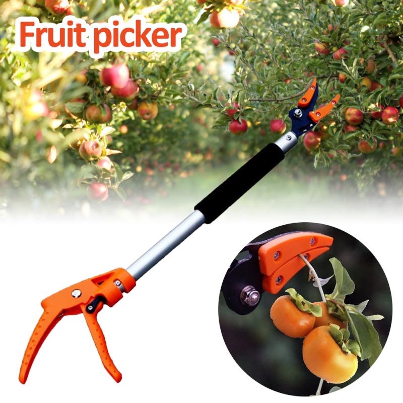 Long Handle Fruit Picker,Garden Long Reach Tree Pruner,Long Handled Secateurs for Tree Branches,Fruit Pick