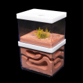 Plaster Ant Farm Natural Ecological Gypsum Big Ant Nest Large Insect Castle Workshop Pet Anthill Ant House with Feeding Area