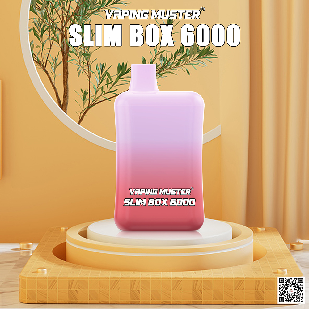 Slim Box Vape 6000 Puffs