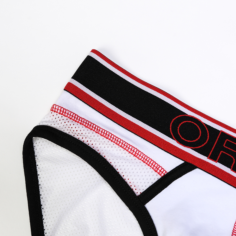 ORLVS Brand Men Underwear Briefs Mesh Male Panties Sexy Gay penis pouch Cotton 2018 Underpants Men Briefs Slip shorts