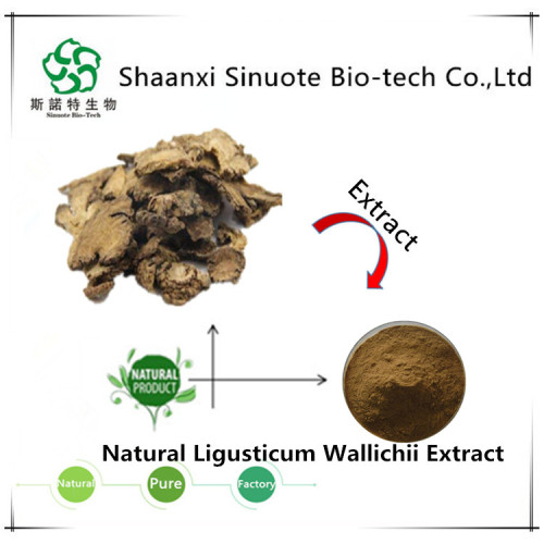 Barbed Skullcap Extract Baicalin 80% in Large Stock for Sale, Offer Barbed Skullcap Extract Baicalin 80% in Large Stock