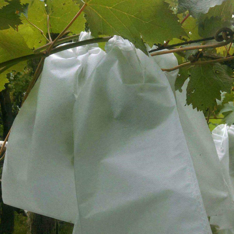 100Pcs Fruit Grape Protect Bags Anti-Bird Insect Moisture Net Bag Breeding Bag Pest Control Tools Mosquito Net Plant Covers