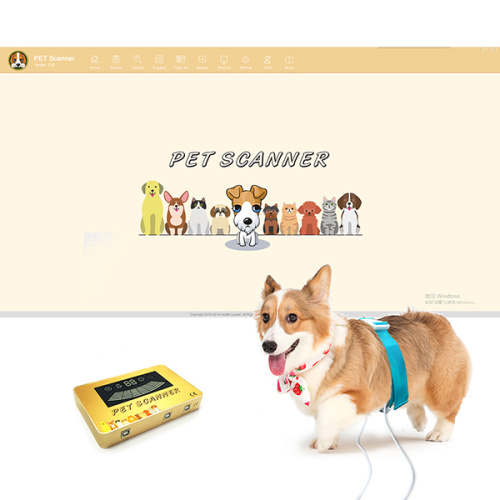 quantum resonance analyzer with free software for animals for Sale, quantum resonance analyzer with free software for animals wholesale From China