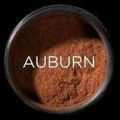 Auburn