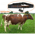 4G 3G 2G Big Rechargeable Battery & Solar Collar Cow GPS Tracker For Cattle Calf Dog Horse Camel Animal Smart Farm Management