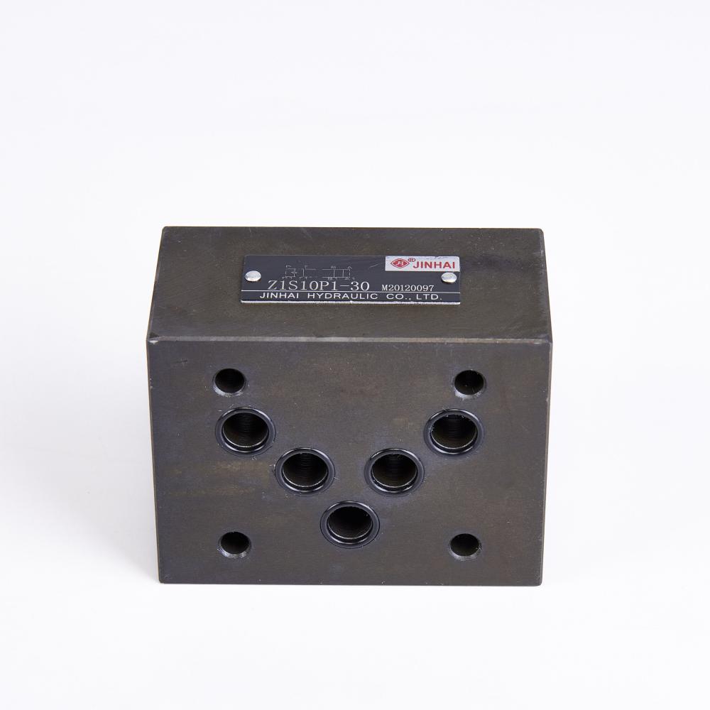 Z1s10p Check Valve 1
