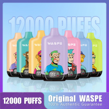 Waspe Digital Box 12K Puffs Vape Pod LED Screen Netherlands