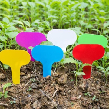 50/100pcs Colorful Plant Labels tags Markers Garden tools Vegetable Seedings Tags Sign PVC Gardening Stake Soil Paint Waterproof