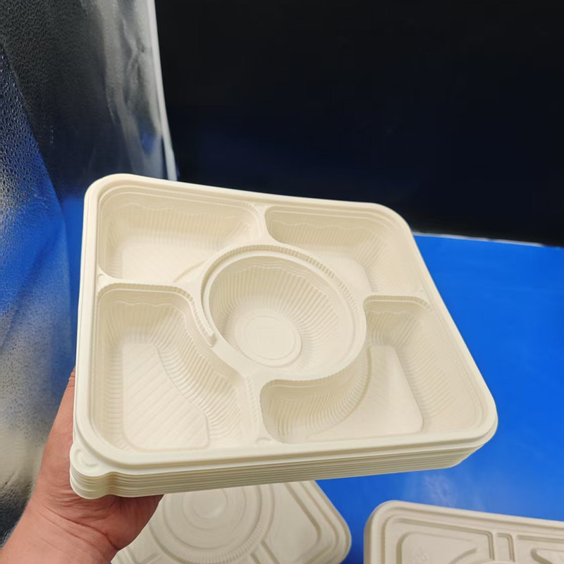 PLA box 041804