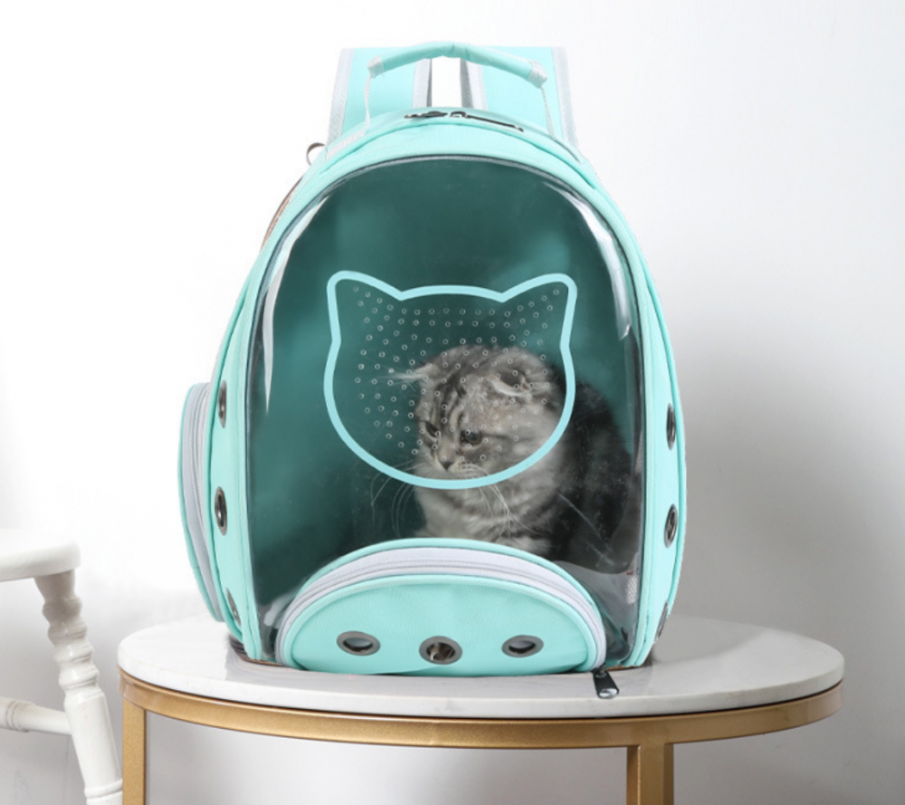Pet Carrier Pink