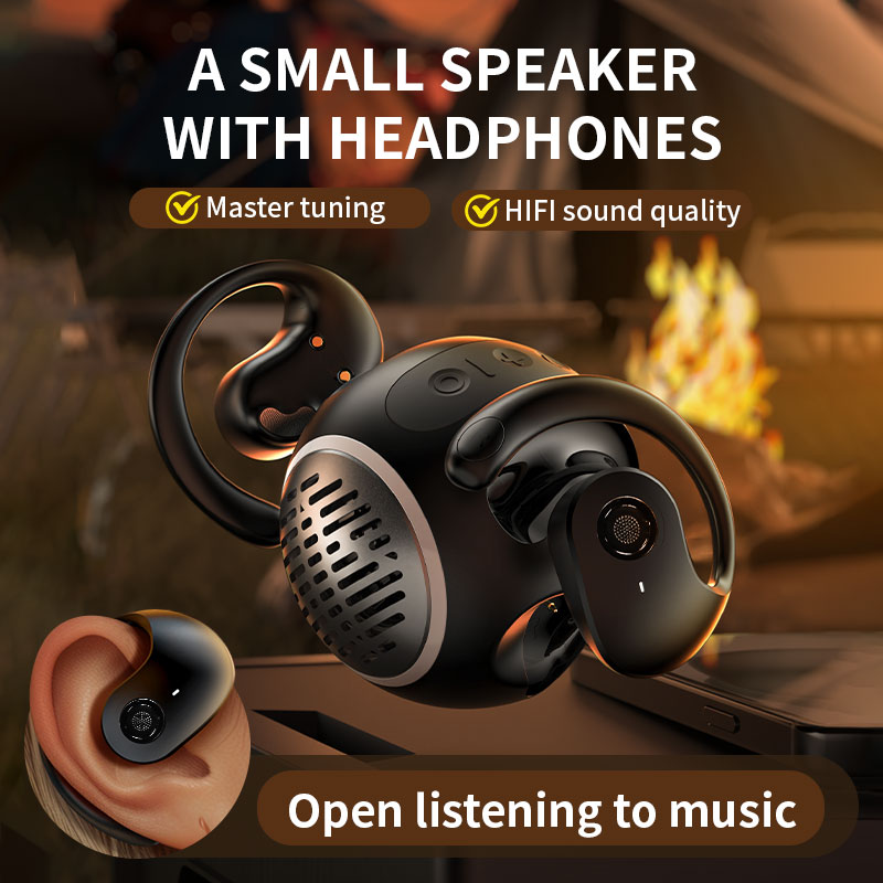 Earphone and speaker 4