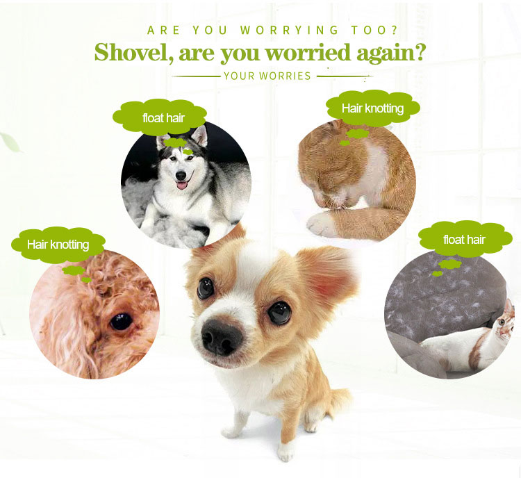 pet love comb