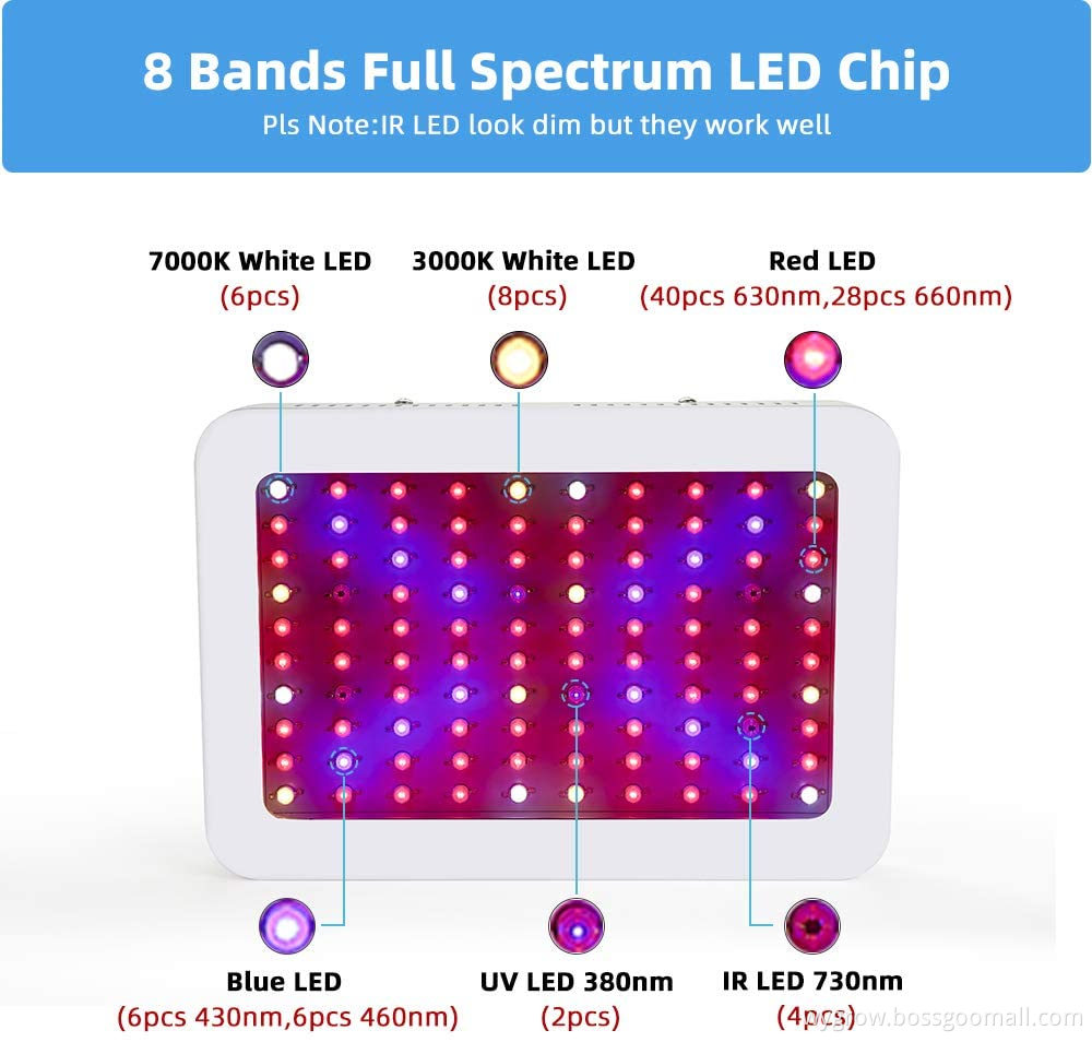 600W Grow Light Red Blue Lighting