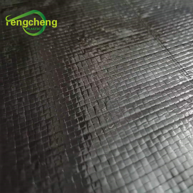 HDPE Waterproof Geomembrane Liner