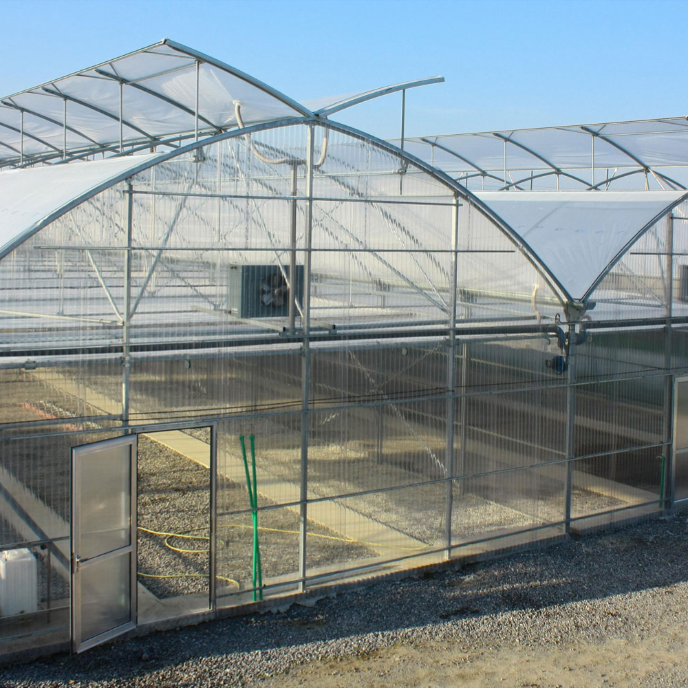 Sunshine Board Multi-span Greenhouse