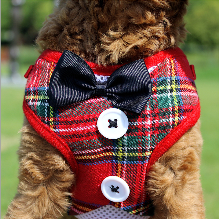 Dog Harness Personalized
