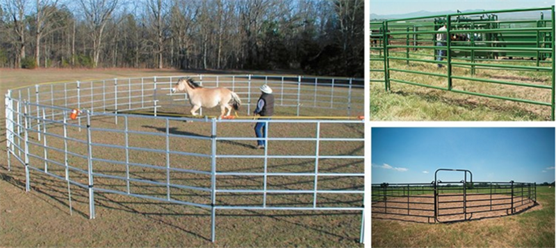 horse fencing perimeter horse fencing perimeter