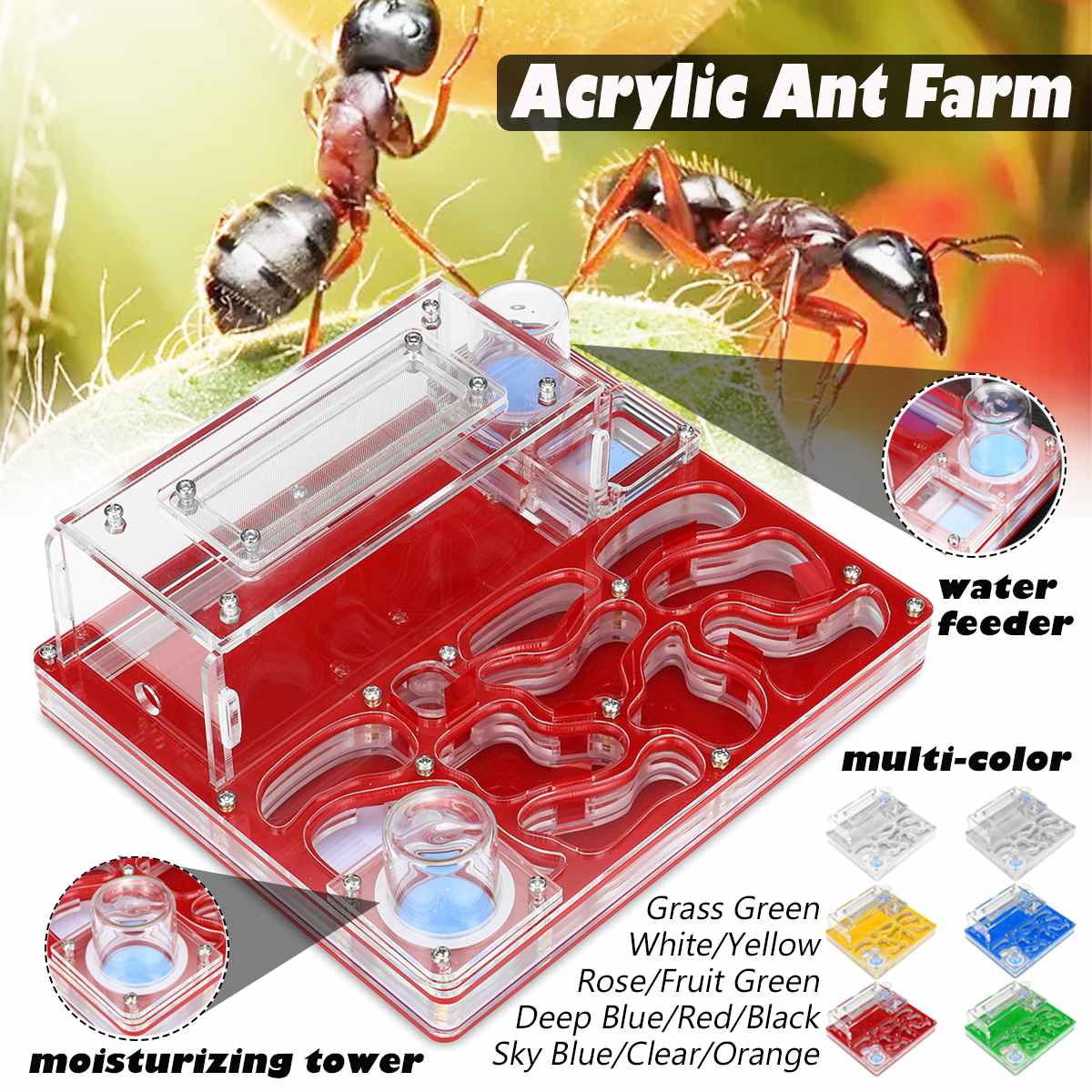 DIY Acrylic Ant Nest Large Flat Ant Farm with Feeding Area Big Ant House for Pet Anthill with Workshop Castle 20*17cm*6.5cm