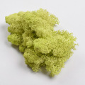 Natural Artificial Moss Dried Grass DIY Decorative Preserved Flowers Accessories Wedding Ornament Garden Wall Decoration