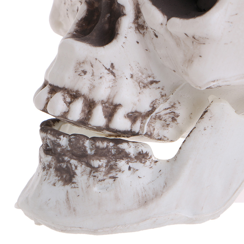 Plastic Human Mini Skull Decor Prop Skeleton Head Halloween Coffee Bars Ornament Dropshipping
